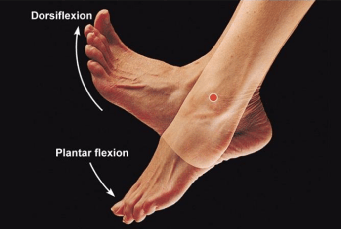 Ankle Warm Up For Plantar Fasciitis
